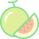 melón icon