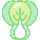 bok choy icon