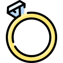 anillo icon