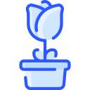 rosa icon