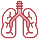 pulmones