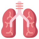 pulmones icon