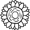 girasol 