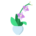 orquídea