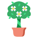 gardenia icon