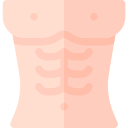 abdominales