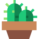 cactus icon