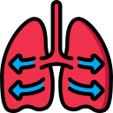 pulmones icon