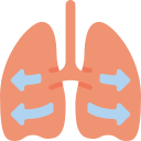 pulmones