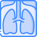 pulmones icon