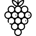 uvas icon