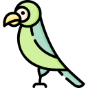 pájaro icon