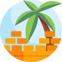 palmera icon