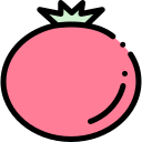 tomate icon