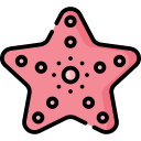 estrella de mar