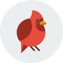 pájaro icon