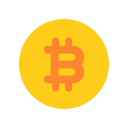 bitcoin icon