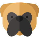 bullmastiff