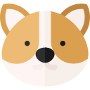 corgi