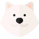 samoyedo