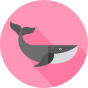 ballena icon