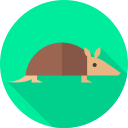 armadillo icon