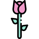 rosa icon