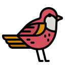 pájaro icon