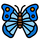 mariposa icon