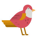 pájaro icon