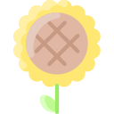 girasol icon