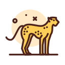 leopardo icon