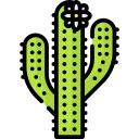 cactus icon