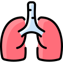 pulmones