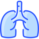 pulmones icon