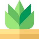 agave icon