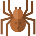 tarántula 