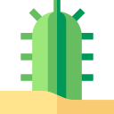 cactus icon