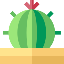 cactus icon