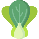 bok choy icon