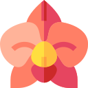 orquídea icon