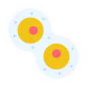 mitosis icon