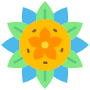 rangoli icon