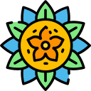 rangoli icon