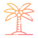 palmera 