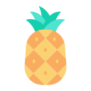 piña icon