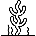 Коралловый