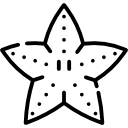 estrella de mar