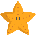 estrella de mar 