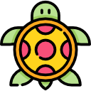 tortuga icon